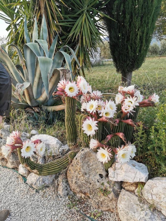 Villa Dei Romani - Country House Guidonia Montecelio Экстерьер фото